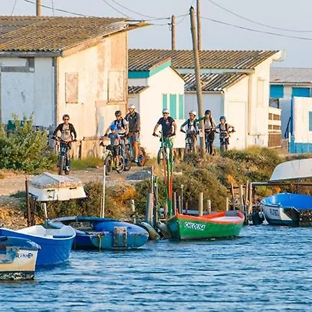 Du Pin - Les Pieds Dans L'eau - Du Grazel Gruissan
