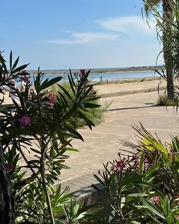Du Pin - Les Pieds Dans L'eau - Du Grazel Nyaraló