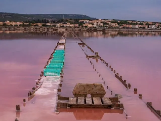 Du Pin - Les Pieds Dans L'eau - Du Grazel בית נופש גרואיסאן